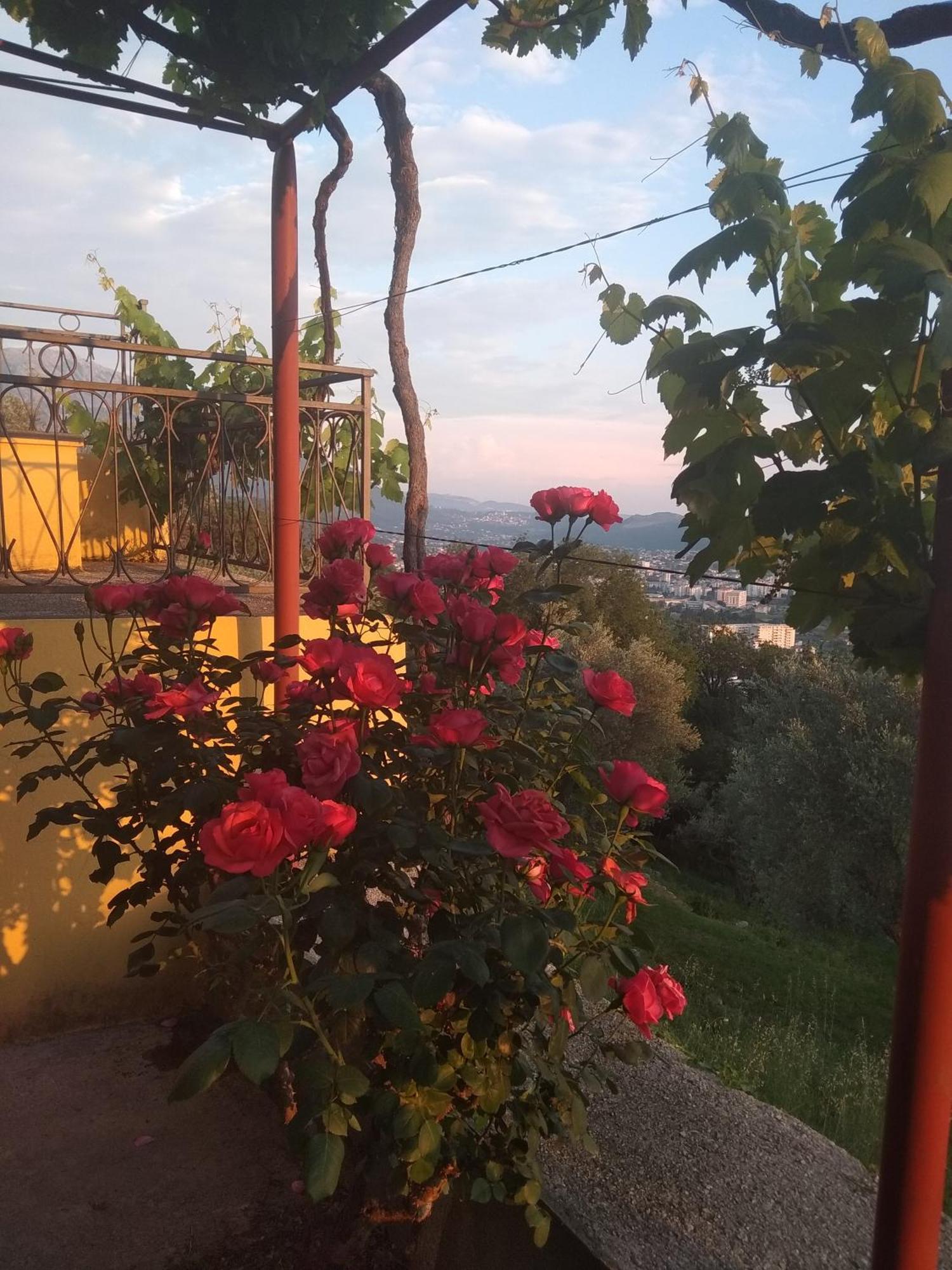 Apartman "Marko" Bar Zewnętrze zdjęcie